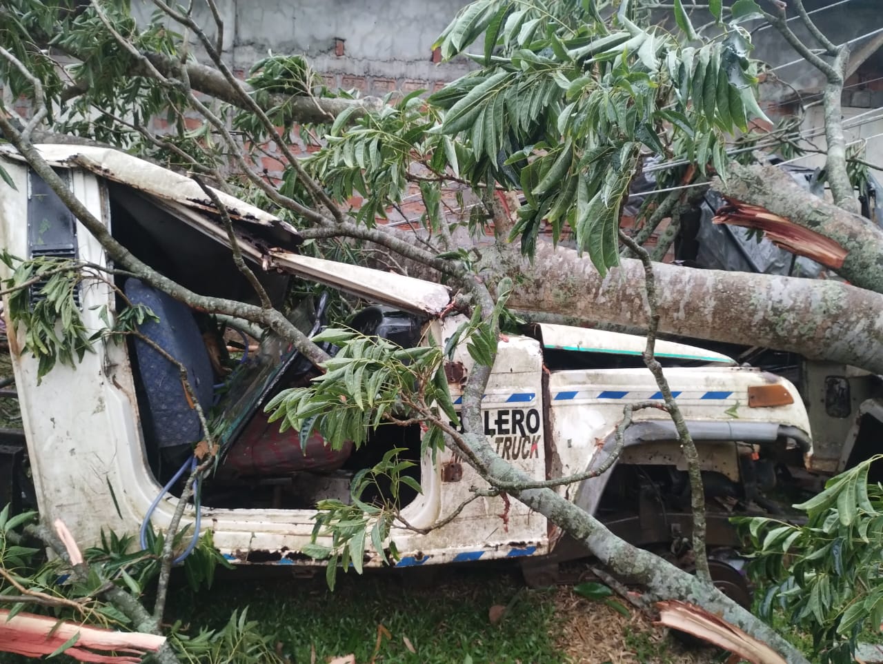 Storm wreaked havoc across Tripura, destroyed over 600 houses Tripura