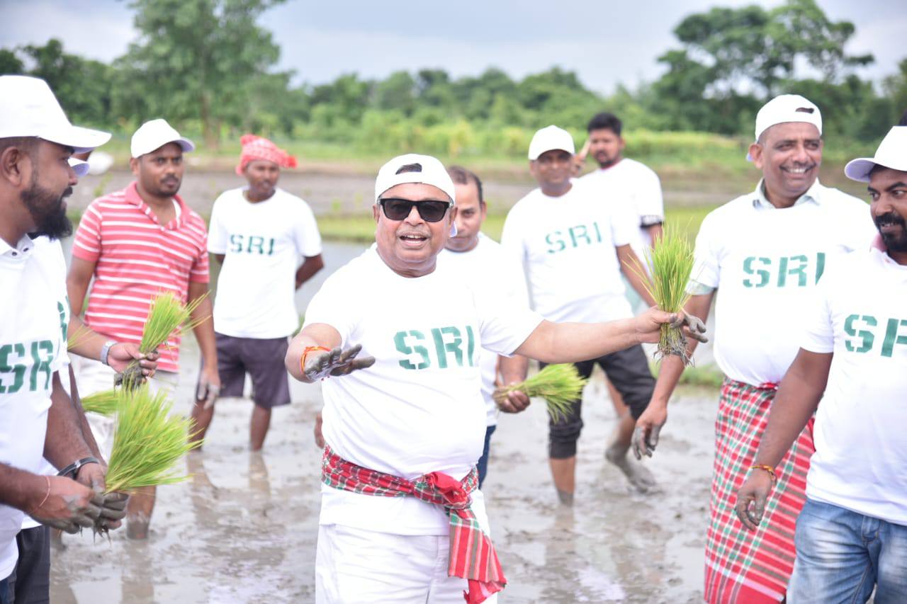 Sirpi Rice SRI method to boost rice yield in Tripura: Ratan Lal Nath - Tripura ...