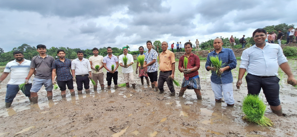 IGP Avula Ramesh Reddy joins farmers in paddy transplantation at ...